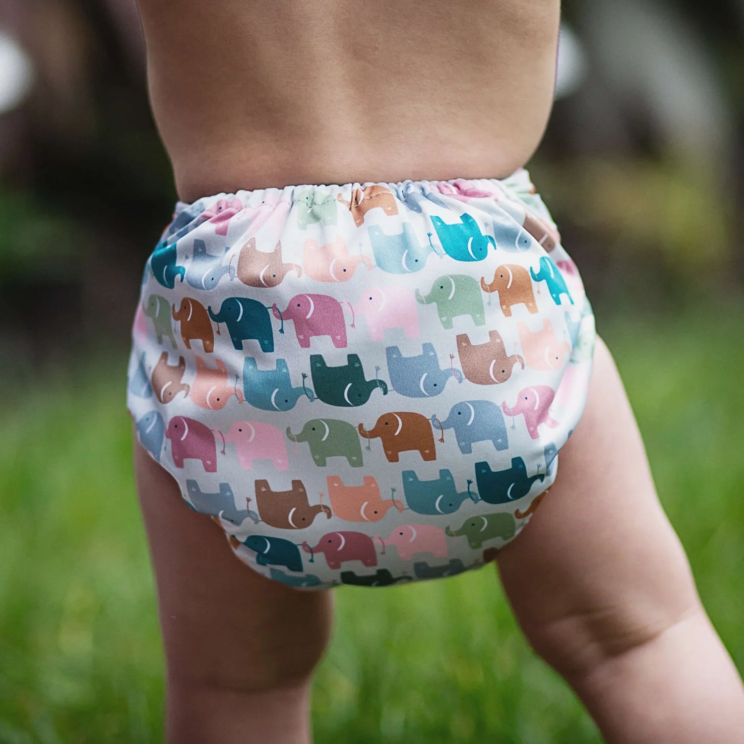 Re-usable Nappies & Accessories