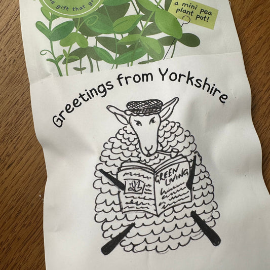 Greens & Greetings : Exclusive Yorkshire Sheep