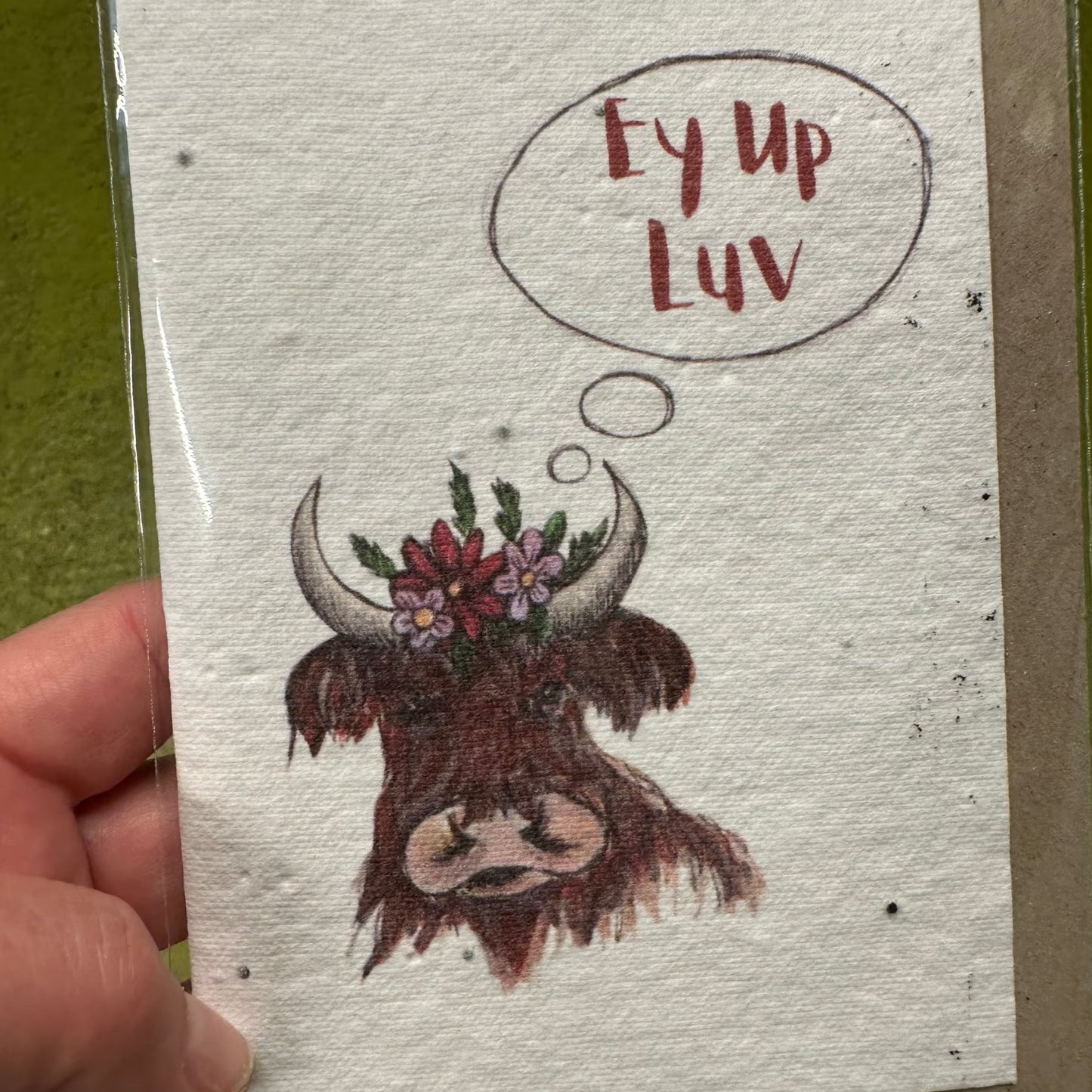 Seed Paper Greeting Card, Ey Up, Highland Cow