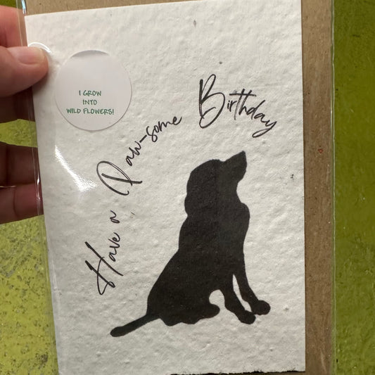 Seed Paper Greeting Card, Paw-some Birthday Black Labrador