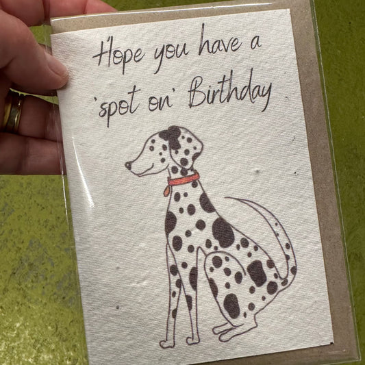 Seed Paper Greeting Card, Have A 'Spot On' Birthday