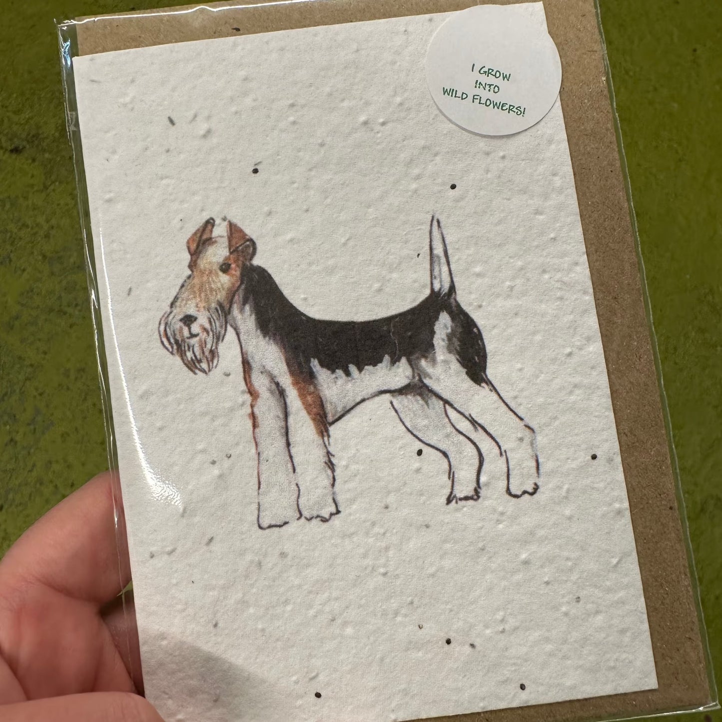 Seed Paper Greeting Card, Lola Dog