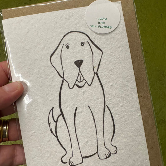 Seed Paper Greeting Card, Duggy Dog