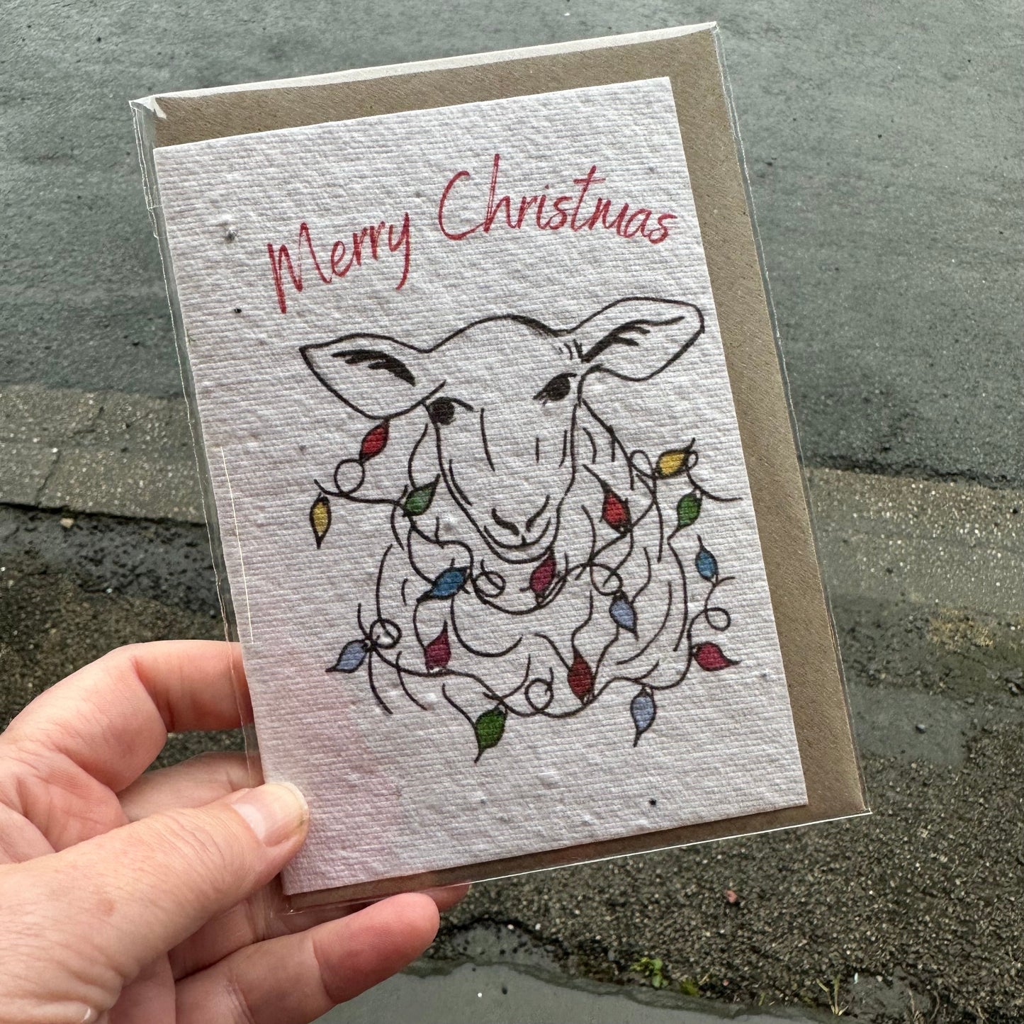 Seed Paper Christmas Card, Christmas Lights Sheep