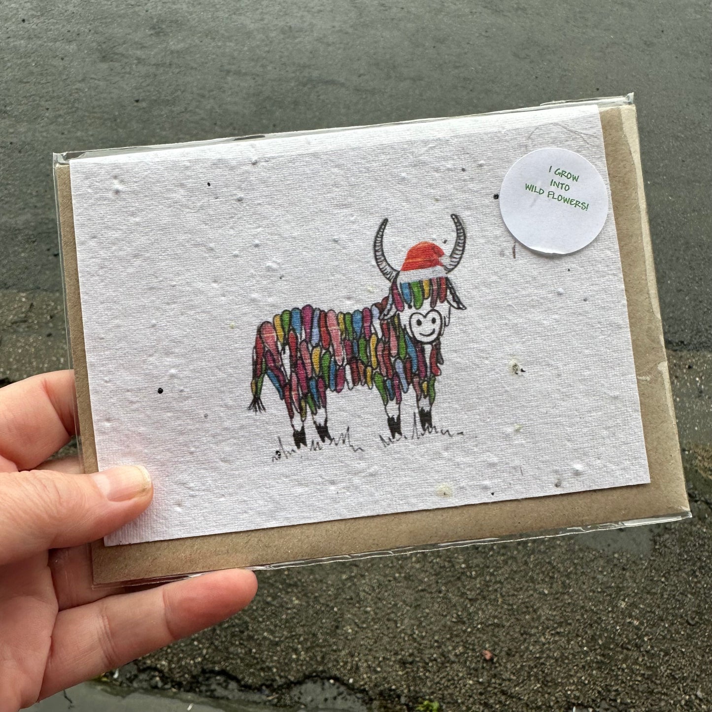 Seed Paper Christmas Card, Highland Cow