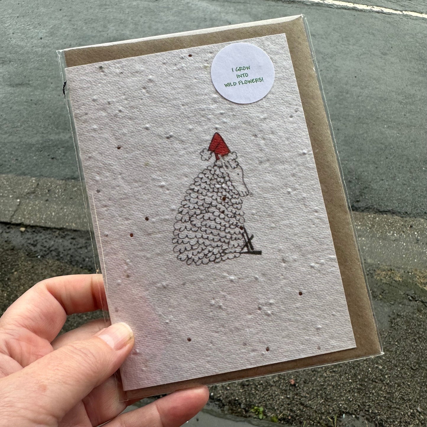 Seed Paper Christmas Card, Christmas Sheep