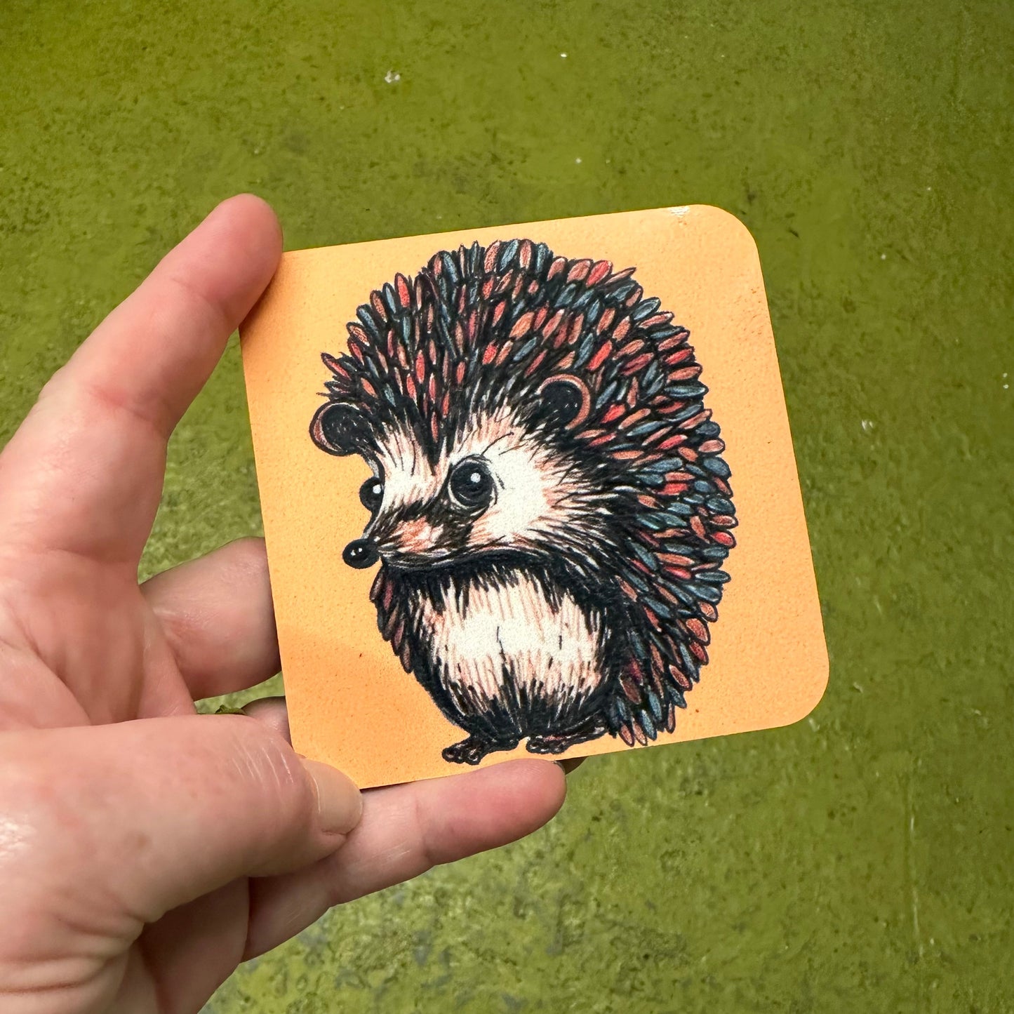 *Exclusive* Coaster, Hedgehog