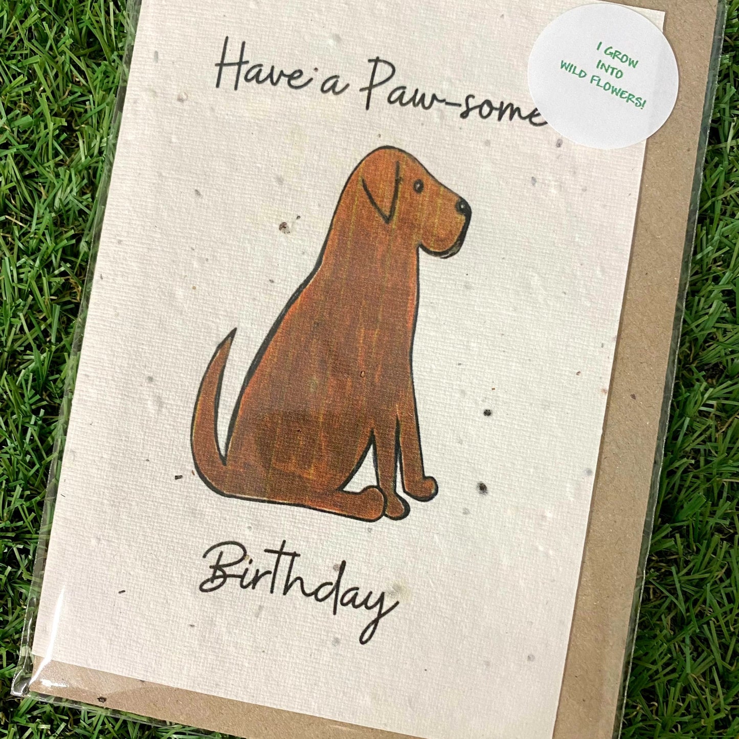 Seed Paper Greeting Card, Paw-some Birthday