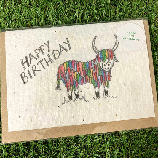 Seed Paper Greeting Card, Rainbow Highland Cow