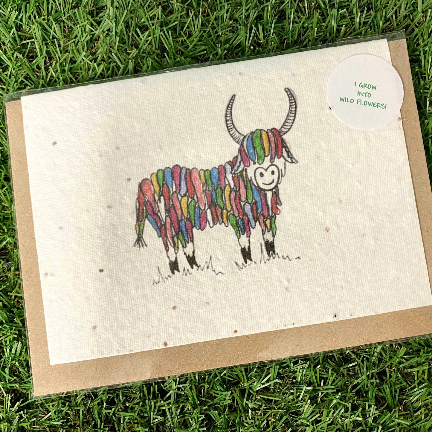 Seed Paper Greeting Card, Blank Rainbow Highland Cow
