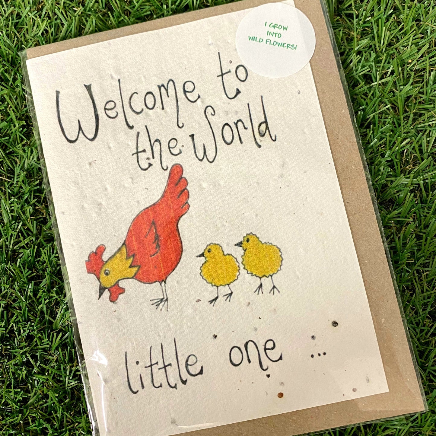 Seed Paper Greeting Card, Welcome To The World