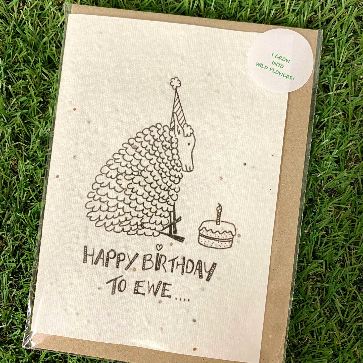 Seed Paper Greeting Card, Happy Birthday To Ewe
