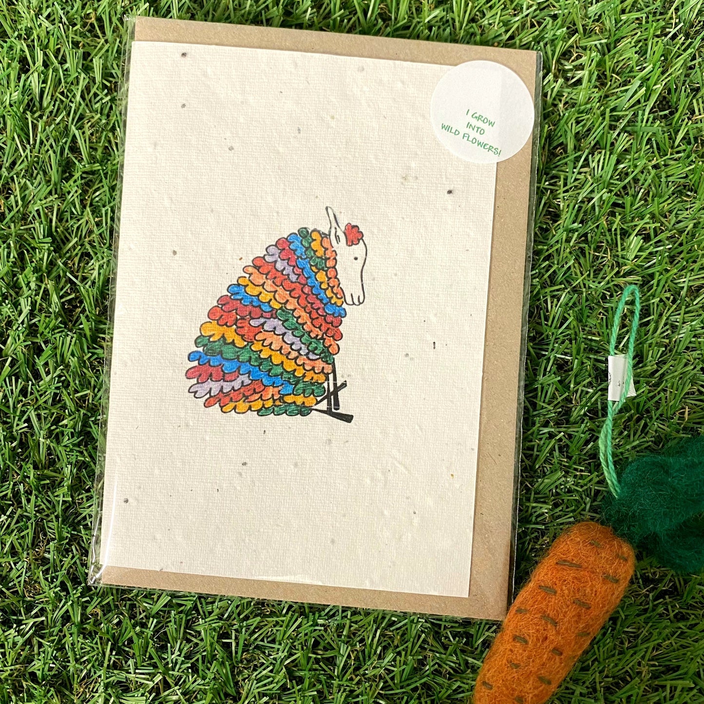 Seed Paper Greeting Card, Rainbow Ewe