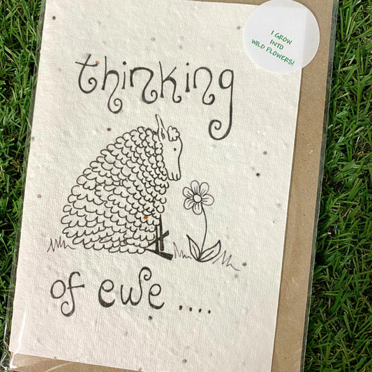 Seed Paper Greeting Card, Thinking Of Ewe
