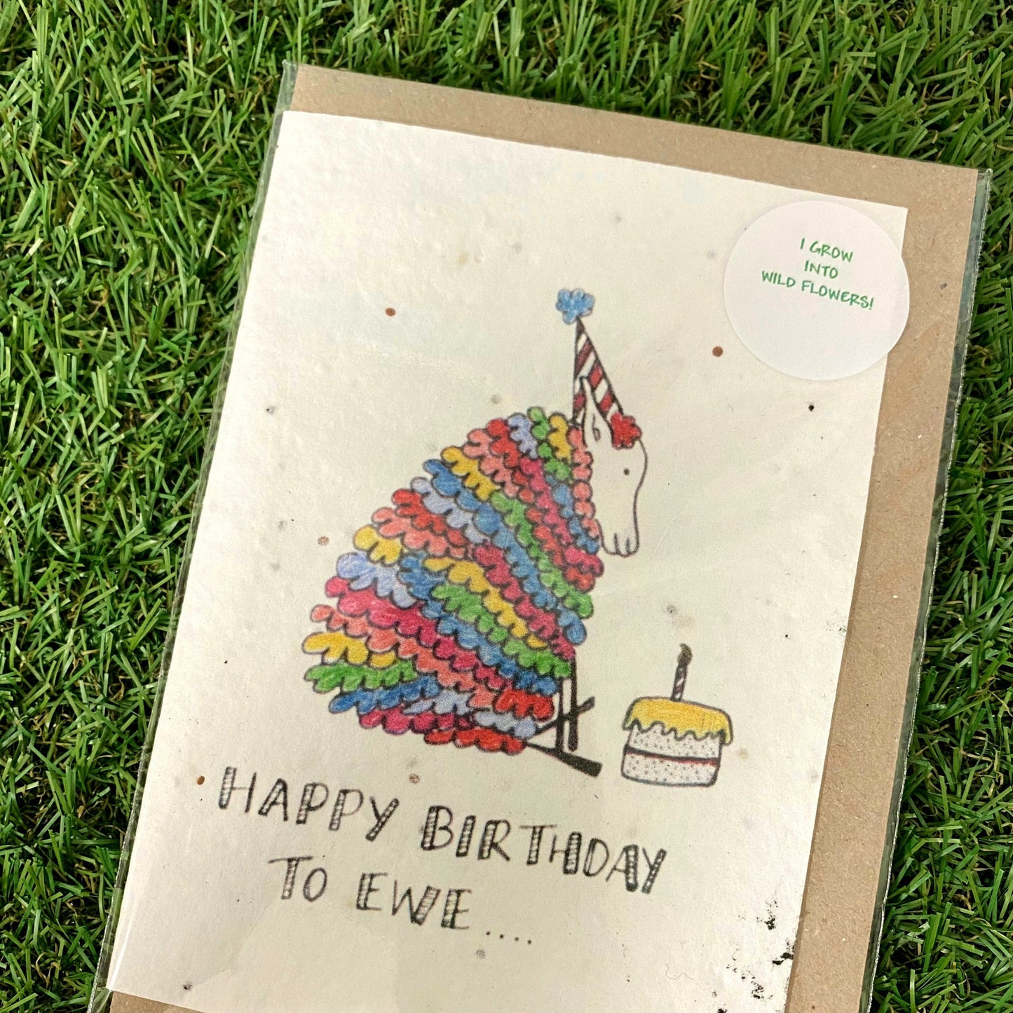 Seed Paper Greeting Card, Happy Birthday To Ewe