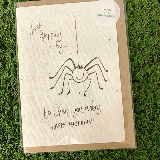 Seed Paper Greeting Card, Spider